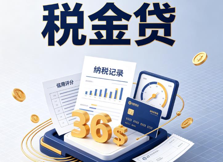 嘉兴企业税贷|嘉兴企业设备回租|嘉兴税贷过桥
